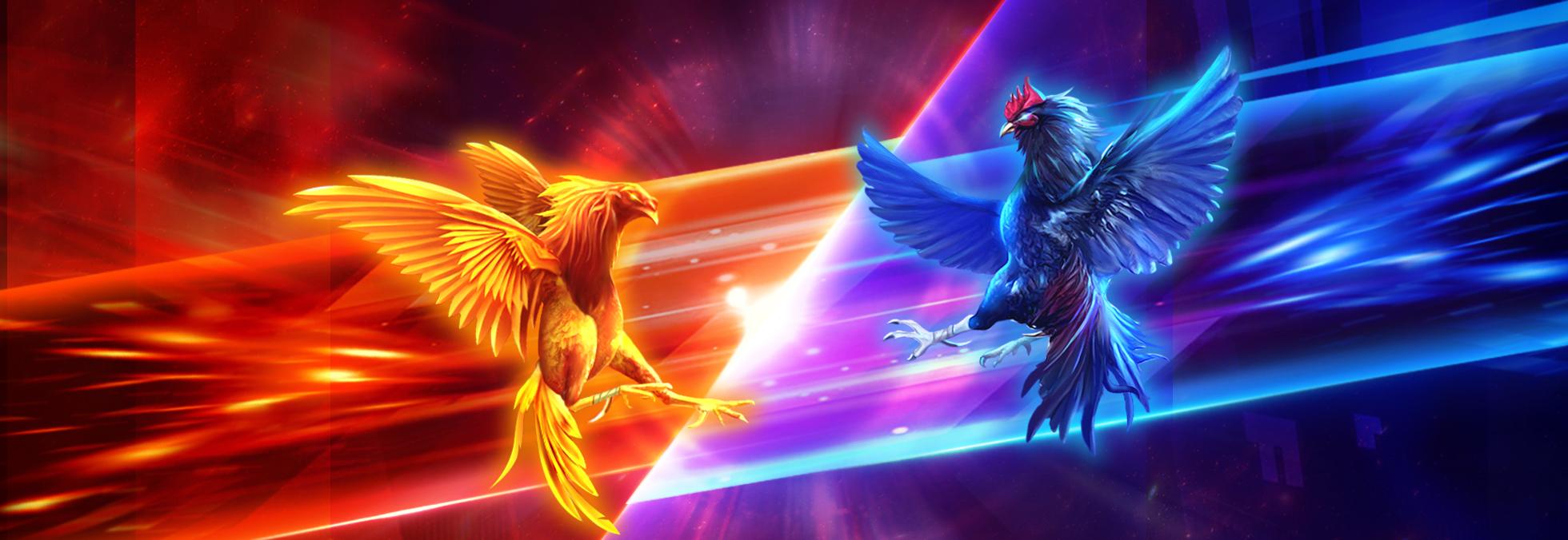 Cock Fighting